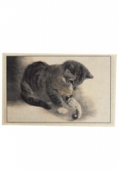 Fu�matte Katzenspiel .... der Hit f�r Katzenfreunde.... f�r Ihren Eingang f�r Innen und Au�en