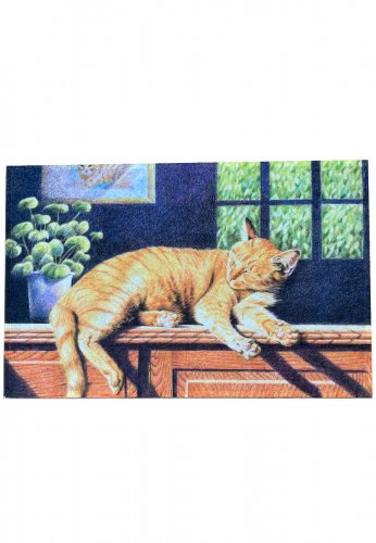 Fu�matte Sleeping Cat.... der Hit f�r Ihren Eingangsbereich... die Matte f�r Innen und Au�en