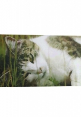 Fu�matte Cat styled by Esschert  .... der Hit f�r Ihren Eingang au�en und innen