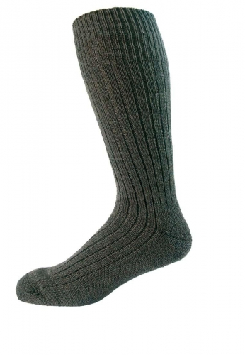 Gesundheitssocke von NORDPOL aus Wolle/Polyester in gr�n