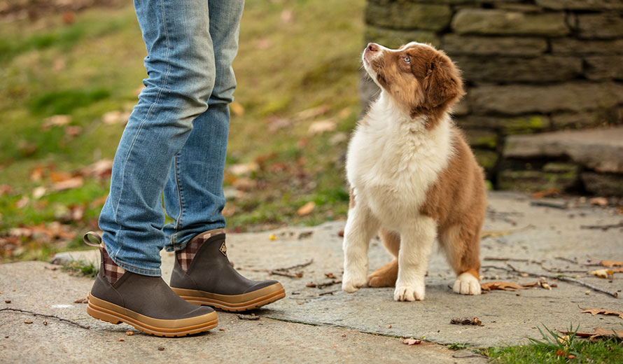 Bequeme Gummistiefel um mit dem Hund zu laufen